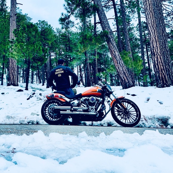 Meet your Posher, Rey - Picture 1 of 1